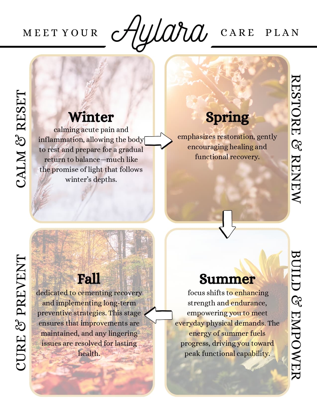 Aylara Care Plan preview